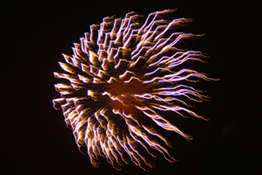 Want to learn how to capture exploding fireworks? Katie Dix explains all.
