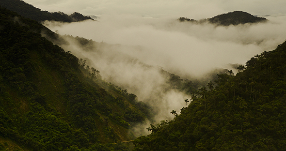 The-view-down-into-the-Cloud-Forest-below-one-of-the-most-impressive-I-have-ever-whitnessed.jpg