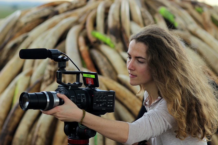 Behind the Shoot: “A Lion’s Tale” – Wildlife Documentary 