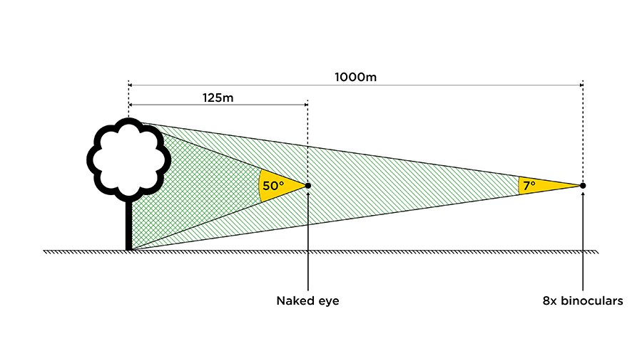 diagram explaining the differences in angle of view